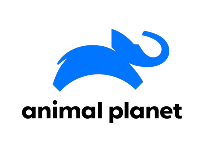 Animal Planet прямой эфир Animal Planet прямой эфир