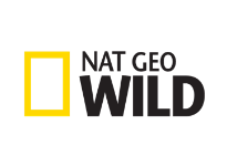 Nat Geo Wild прямой эфир Nat Geo Wild прямой эфир
